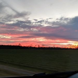 Meet your Posher, Lacey